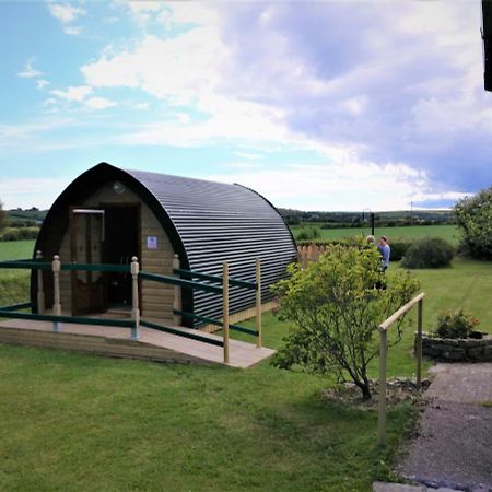 Shanagarry / Ballycotton Glamping Pod Cork Exteriör bild